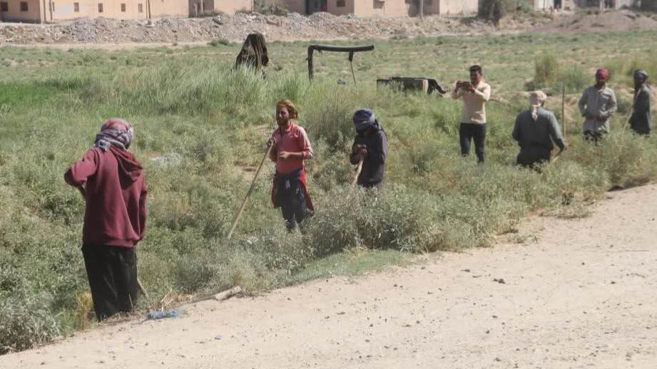 Deir ez-Zor residents launch a popular initiative to clean irrigation channels