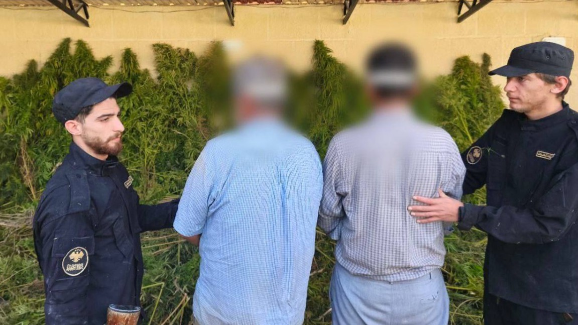 مداهمة في ريف دمشق تكشف مزرعة حشيش … والأمن يوقف المتورطين