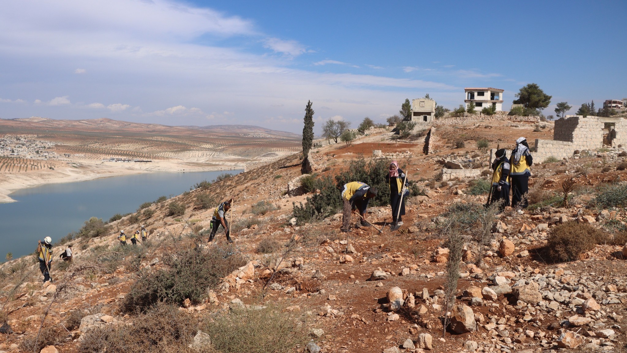 أهالي عفرين يحيُون غابتهم بزراعة 50 ألف شجرة