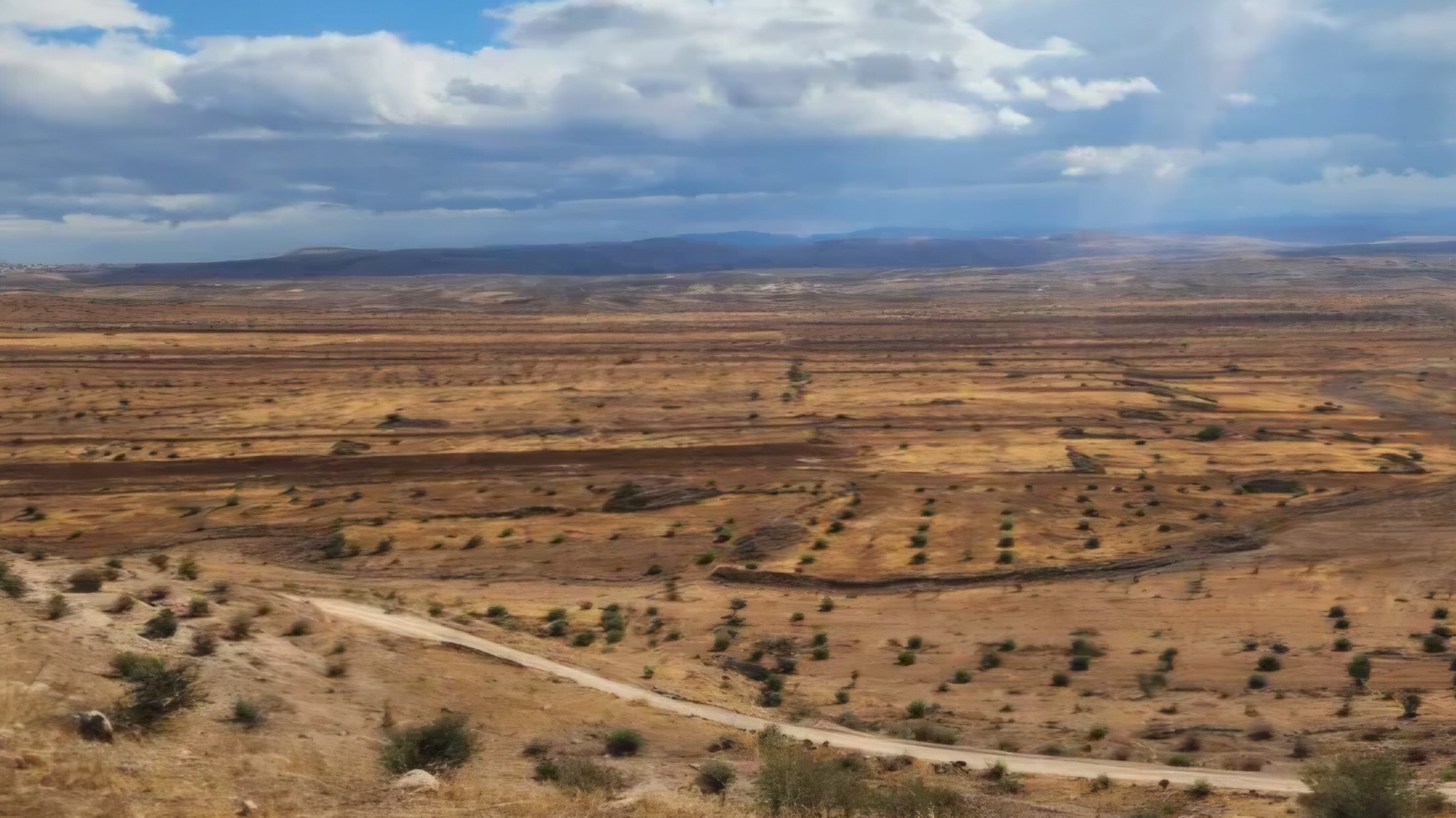 ضحايا الحرب المجهولون .. إدلب الخضراء فقدت مليوني شجرة مثمرة، وخطة للتعويض