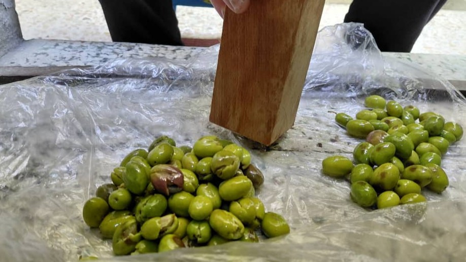 مؤونة الزيتون في اللاذقية.. حبات أقل وذكريات أكثر