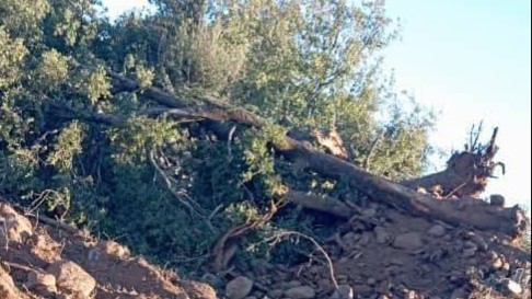 الإحتلال الإسرائيلي يُحوّل حرش "جباتا الخشب" إلى قاعدة عسكرية دائمة