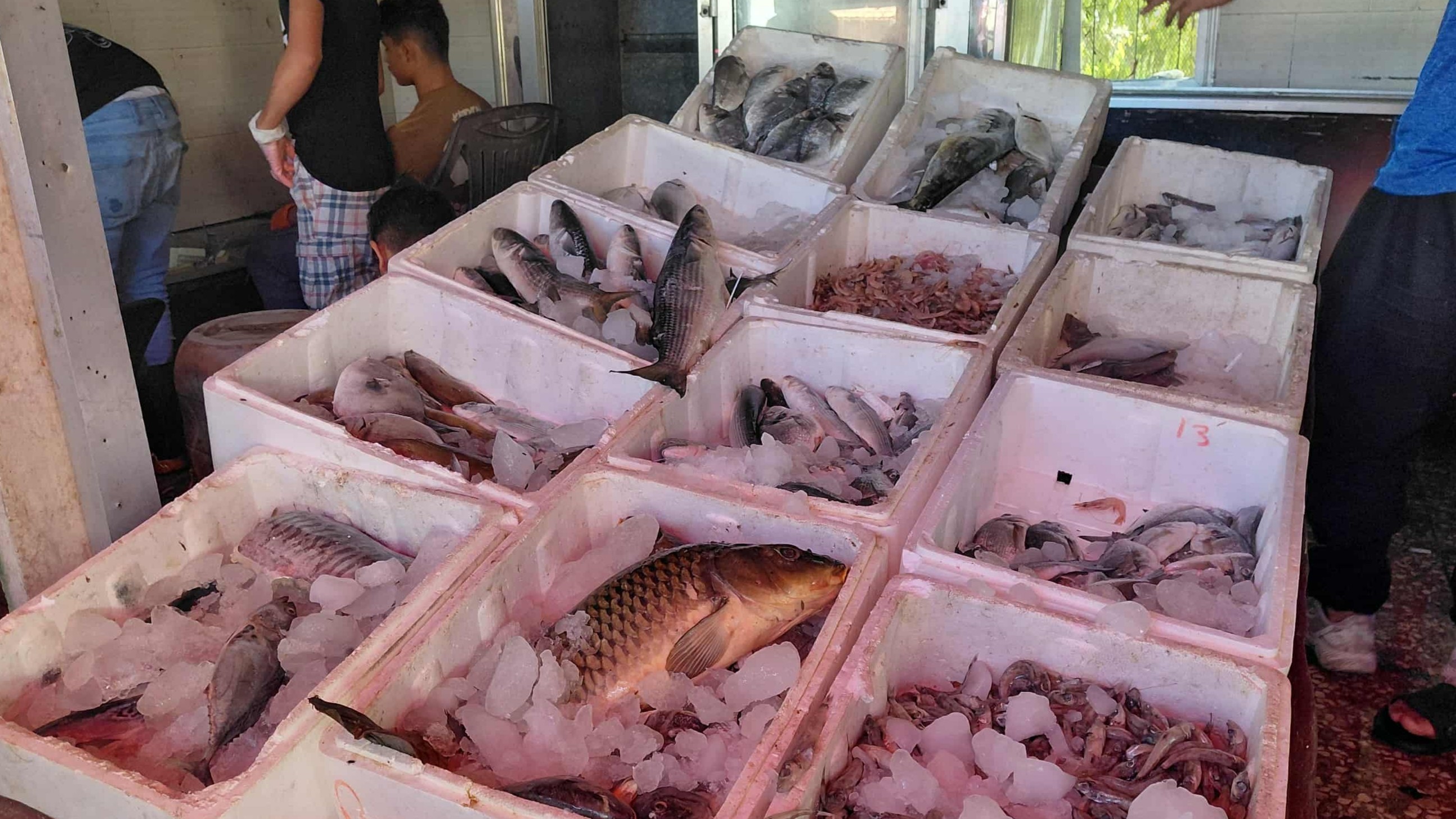 The bride of the coast: the high price of fish takes it out of the tables of the Latvians