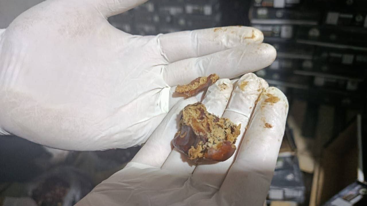 عفَن وحشرات في مواد غذائية بسرمدا في إدلب