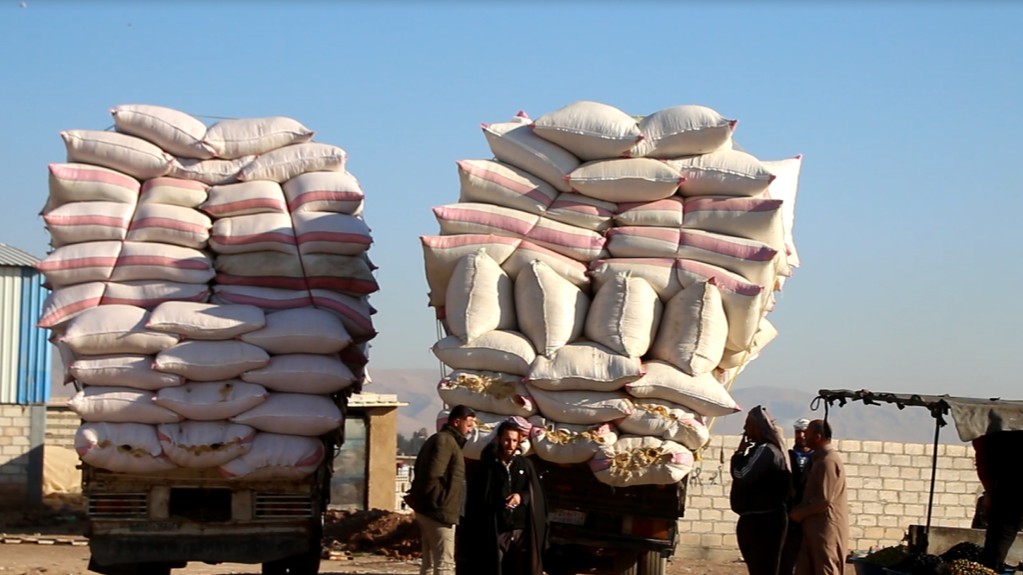 انخفاض سعر مادة التبن في الطبقة