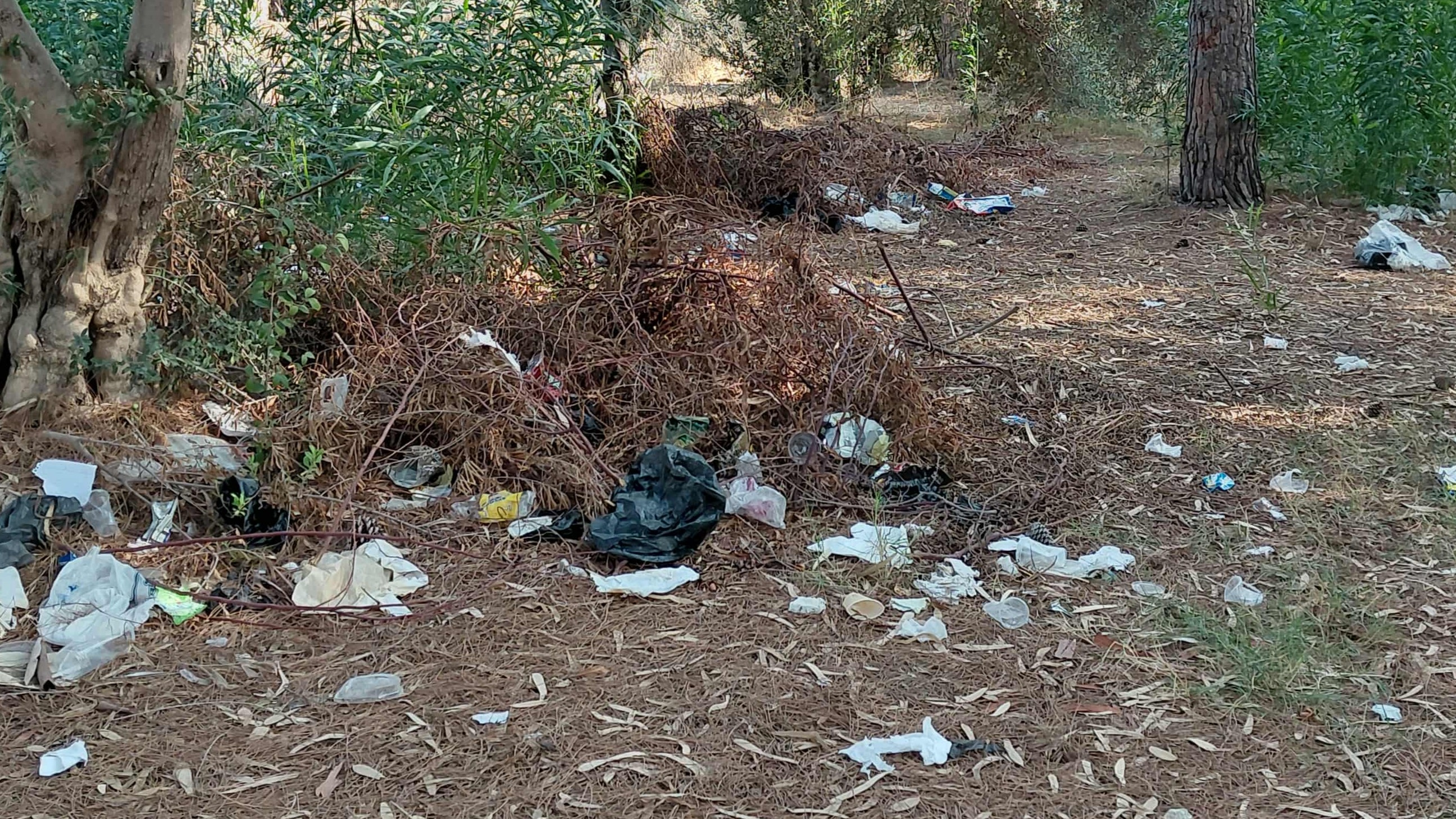 المدينة الرياضية في اللاذقية.. متنفس الأهالي غارق في نفاياتهم!