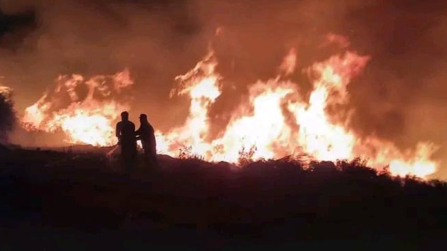 حريق غابات في باشورة… وفرق الإطفاء تحاول السيطرة