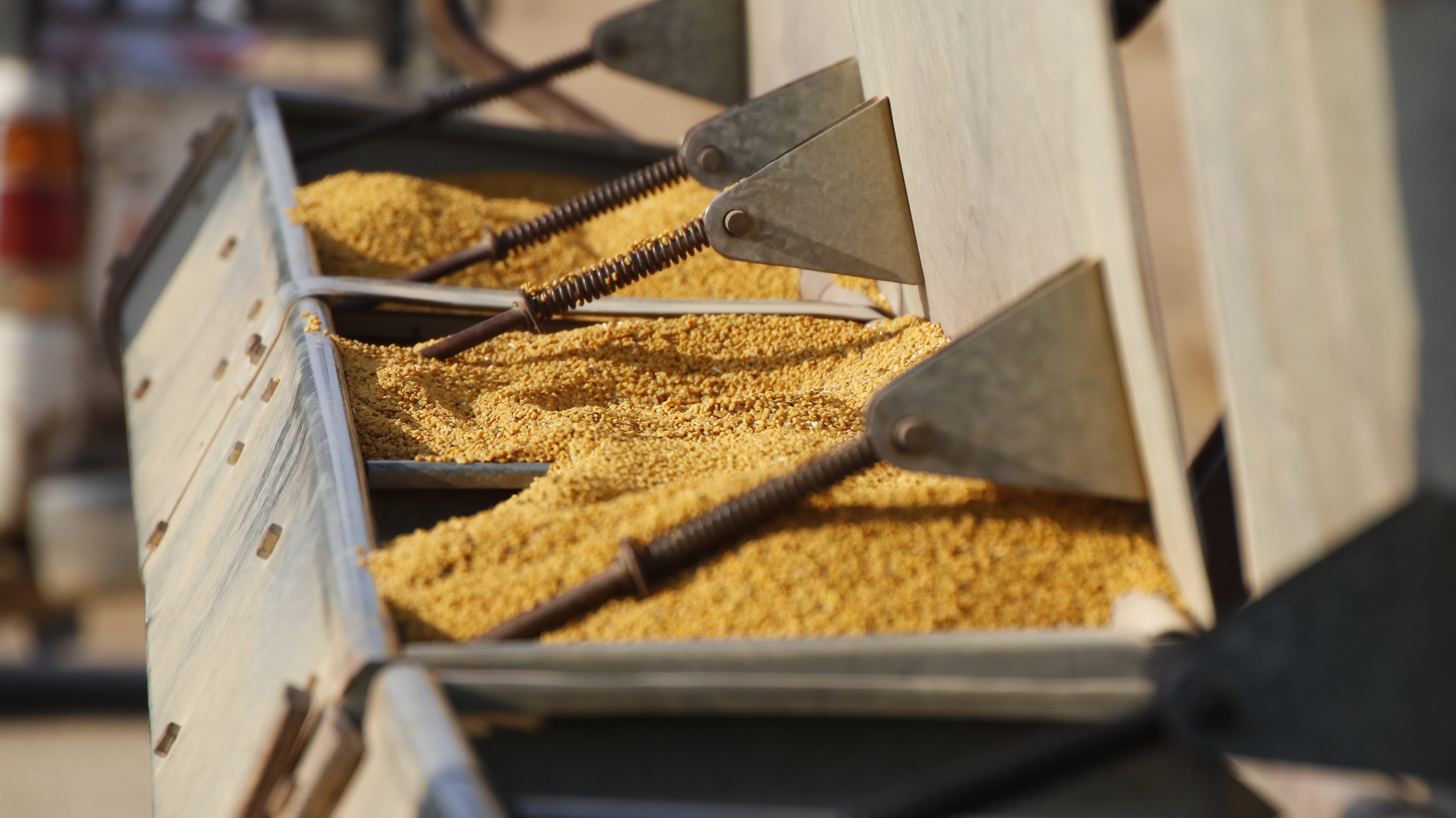 The quantities of seeds are small and Ain Issa farmers complain