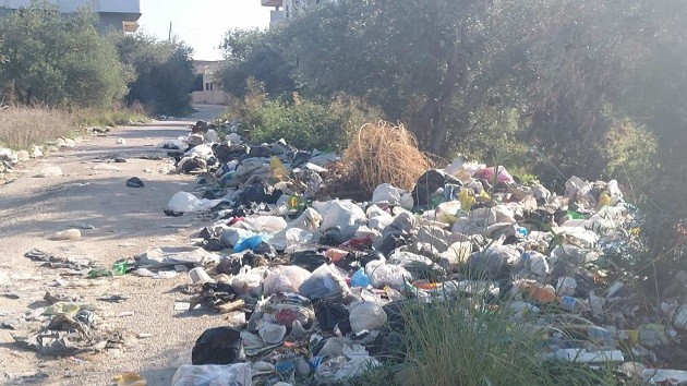 أشجار الزيتون والأهالي محاصرون بالنفايات: خوف مزدوج من الكلاب والمرض