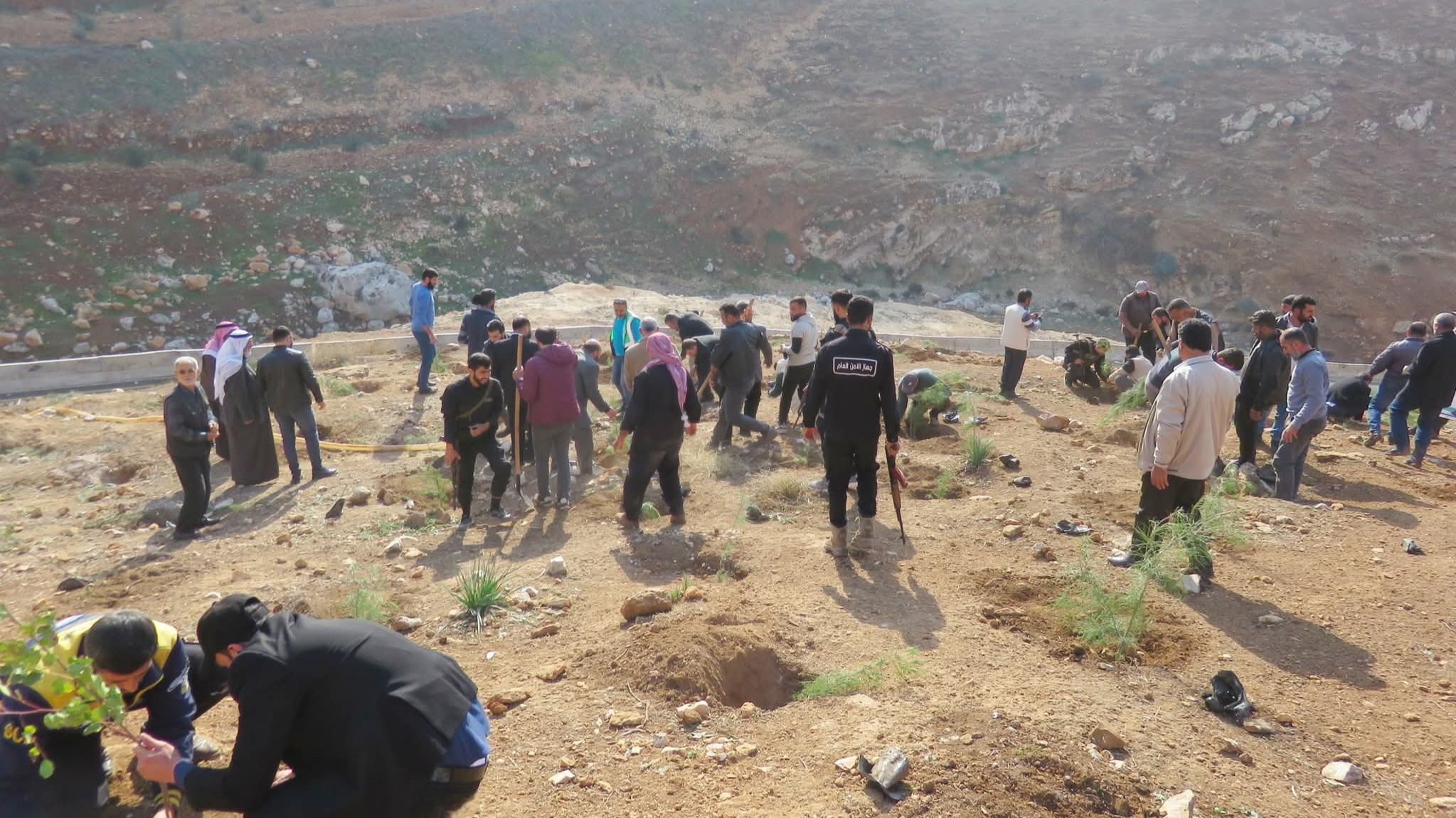 Idlib launches a massive afforestation campaign: “Together let's return a green Idlib”