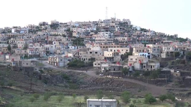 المشنف تزرع القمح وتحصُد التكافل: مبادرة شعبية لمواجهة شحّ الموارد