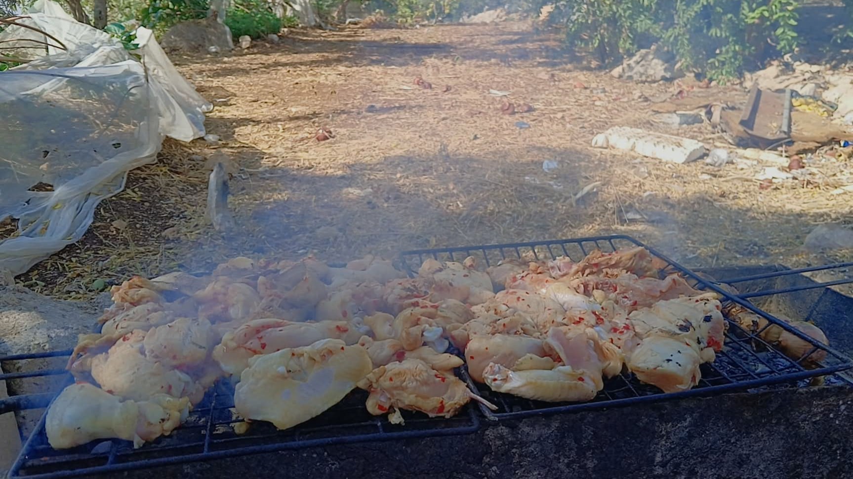 انخفاض أسعار الدجاج يعيد “لمة الشواء” إلى بعض بيوت اللاذقية