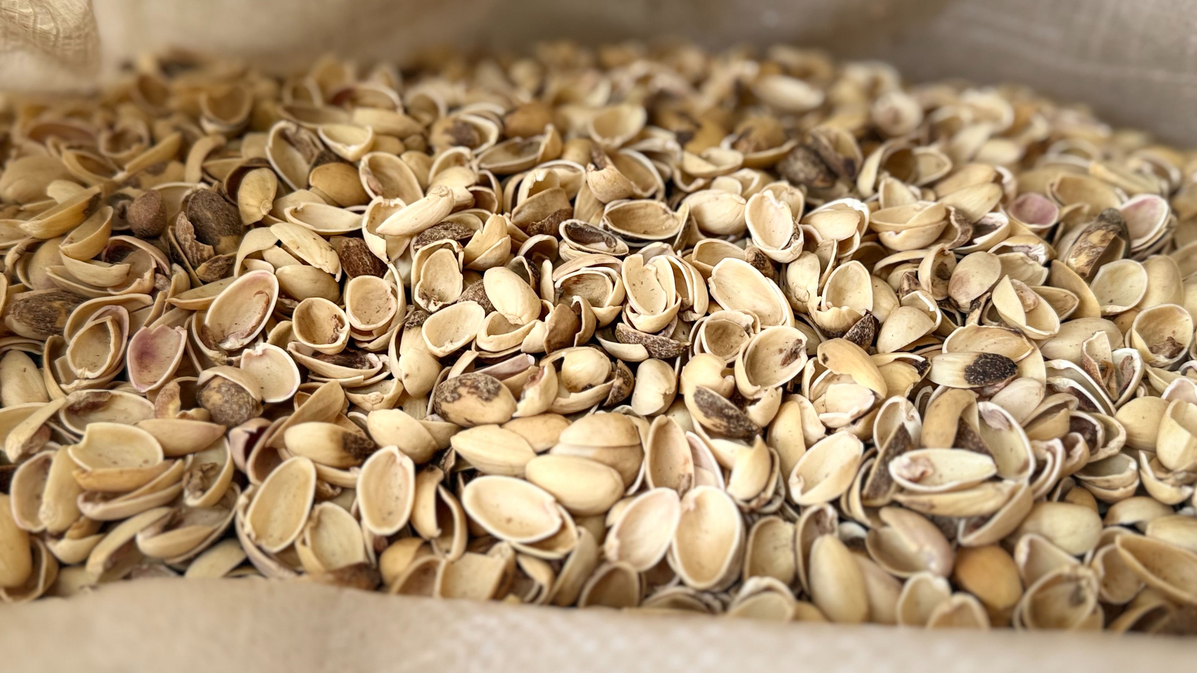 حمص تواجه شتاءً قاسيًا: بين غلاء المازوت وبدائل التدفئة المتاحة