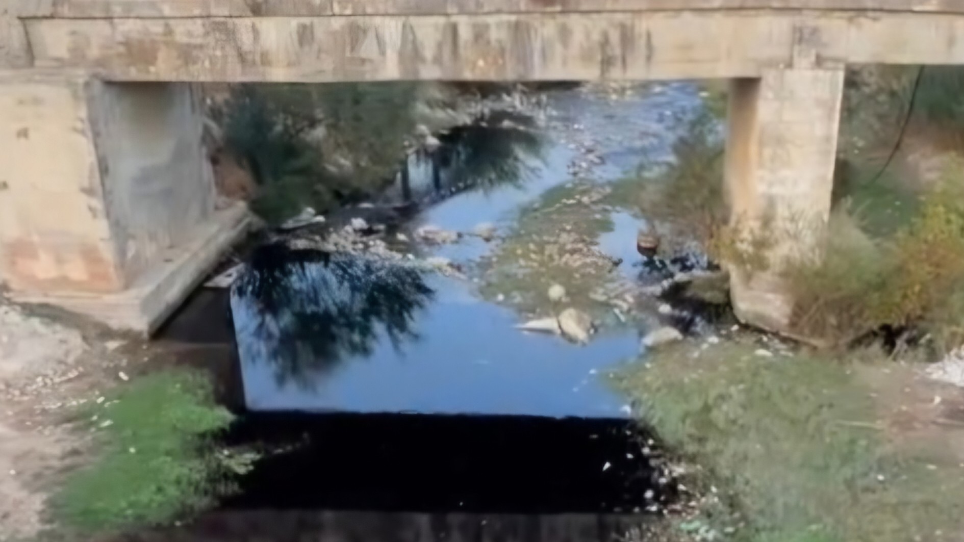 معاصر الزيتون تحول النهر الأبيض إلى مجرى أسود في ريف إدلب الغربي