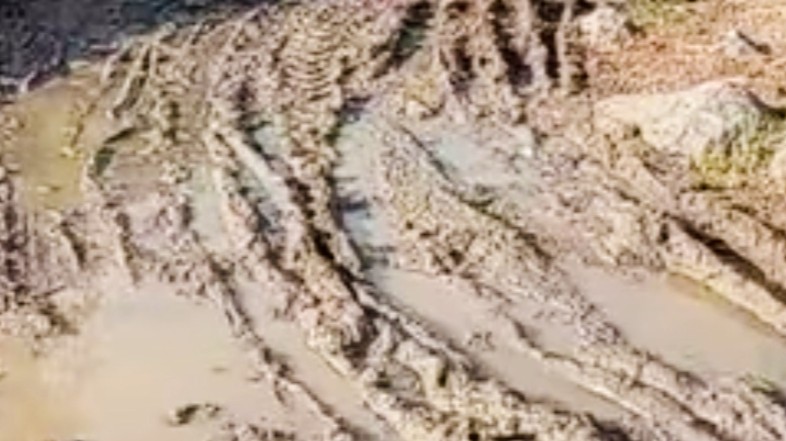 أهالي الشيخ حسين يطالبون بمركز صحي وتحسين الخدمات 