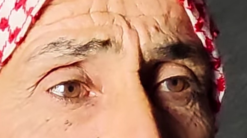   قتلوا ابني وأخي، ونهبوا أرزاقي، واستولوا على بيتي