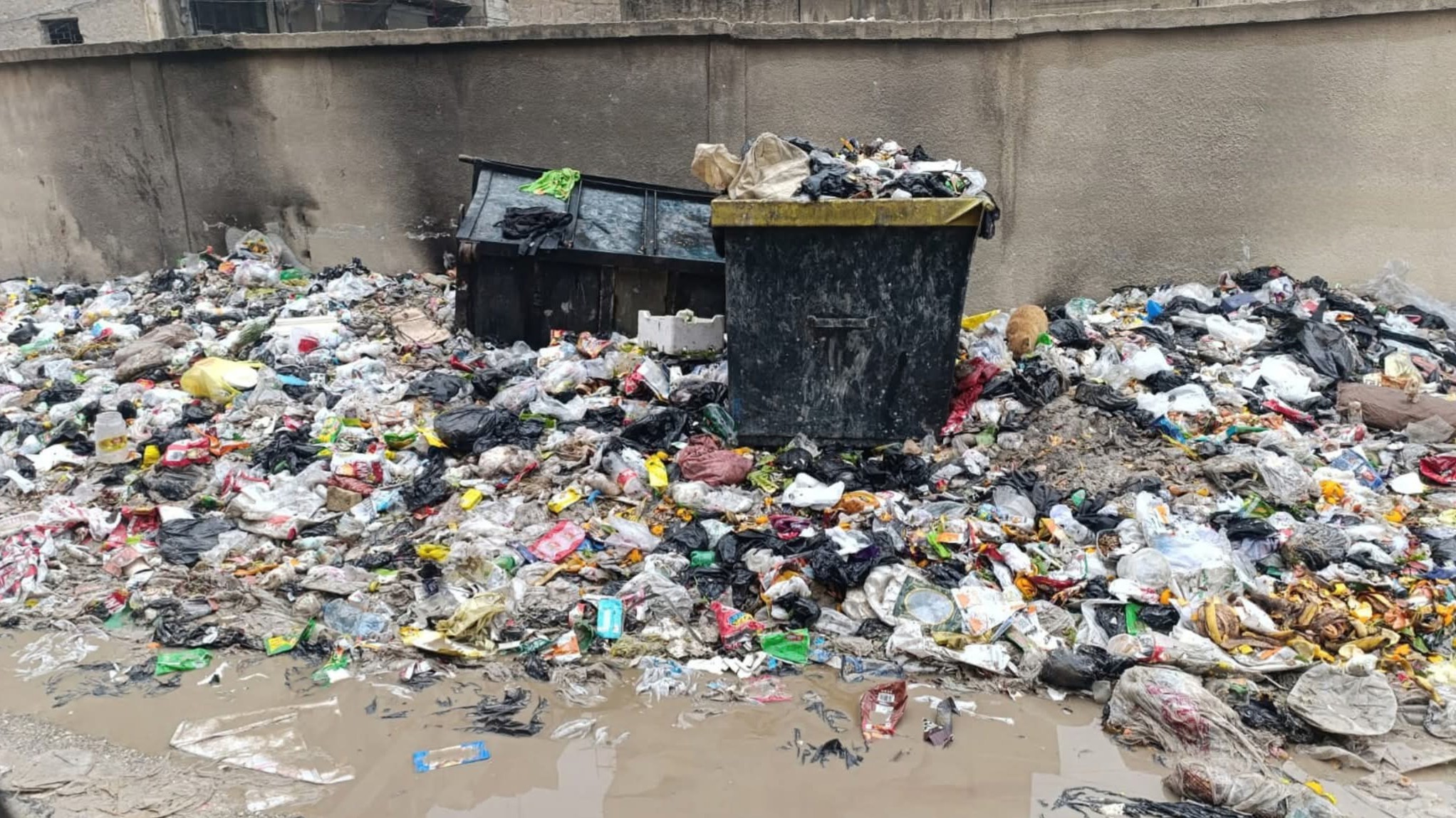 Al-Sukkari neighborhood in Aleppo... temporary cleanliness and permanent negligence on Railway Street