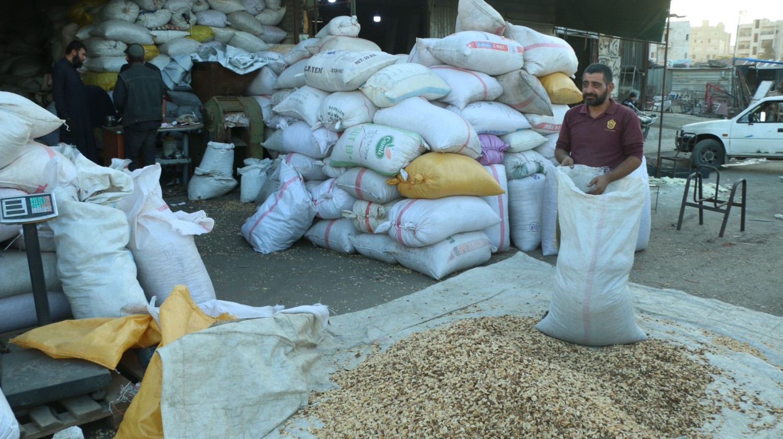 ارتفاع سعر قشور الموالح للتدفئة في إدلب بعد موجة الصقيع: من 250 إلى 320 دولاراً للطن