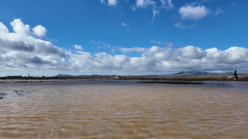 After the drought... Quneitra returns to life and rains refresh dams and wells