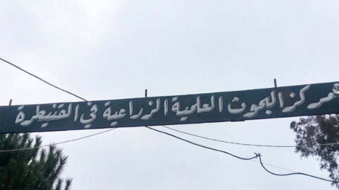 عبر واتساب... فصل 65 موظفًا من مركز البحوث الزراعية في القنيطرة