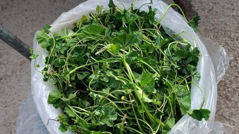 High prices hit Ramadan tables... An abundance of goods and a shortage of purchases