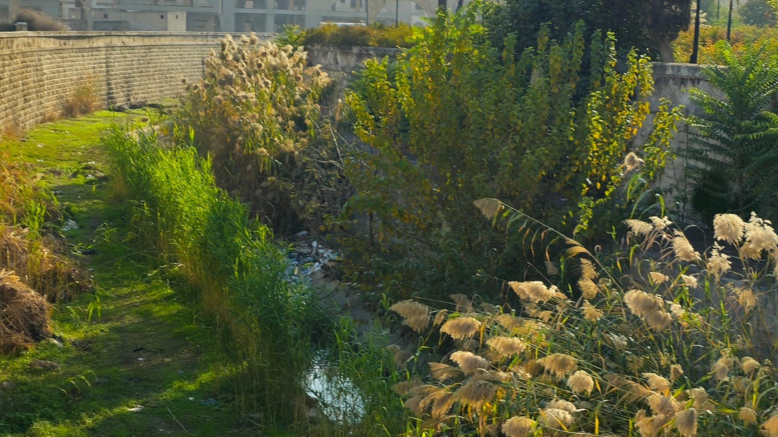 قويق المُهمل ليس بردى… نهر حلب الذي تحوّل لبؤرة وباء