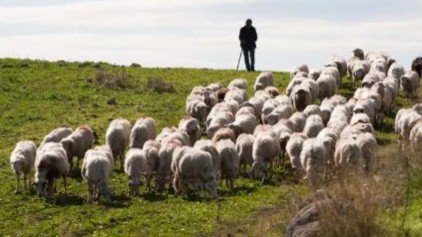 Pastoralism in the age of Facebook: A simple ad that encapsulates the transformation of rural life