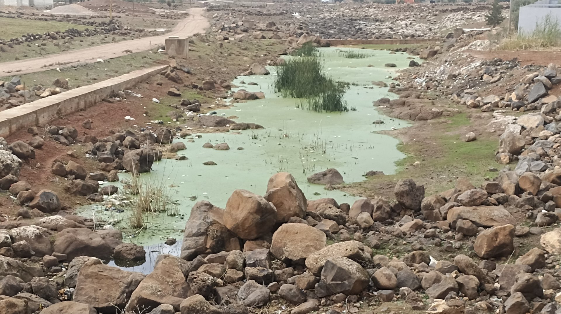 تفشي التهاب الكبد الوبائي في بعض مدارس درعا