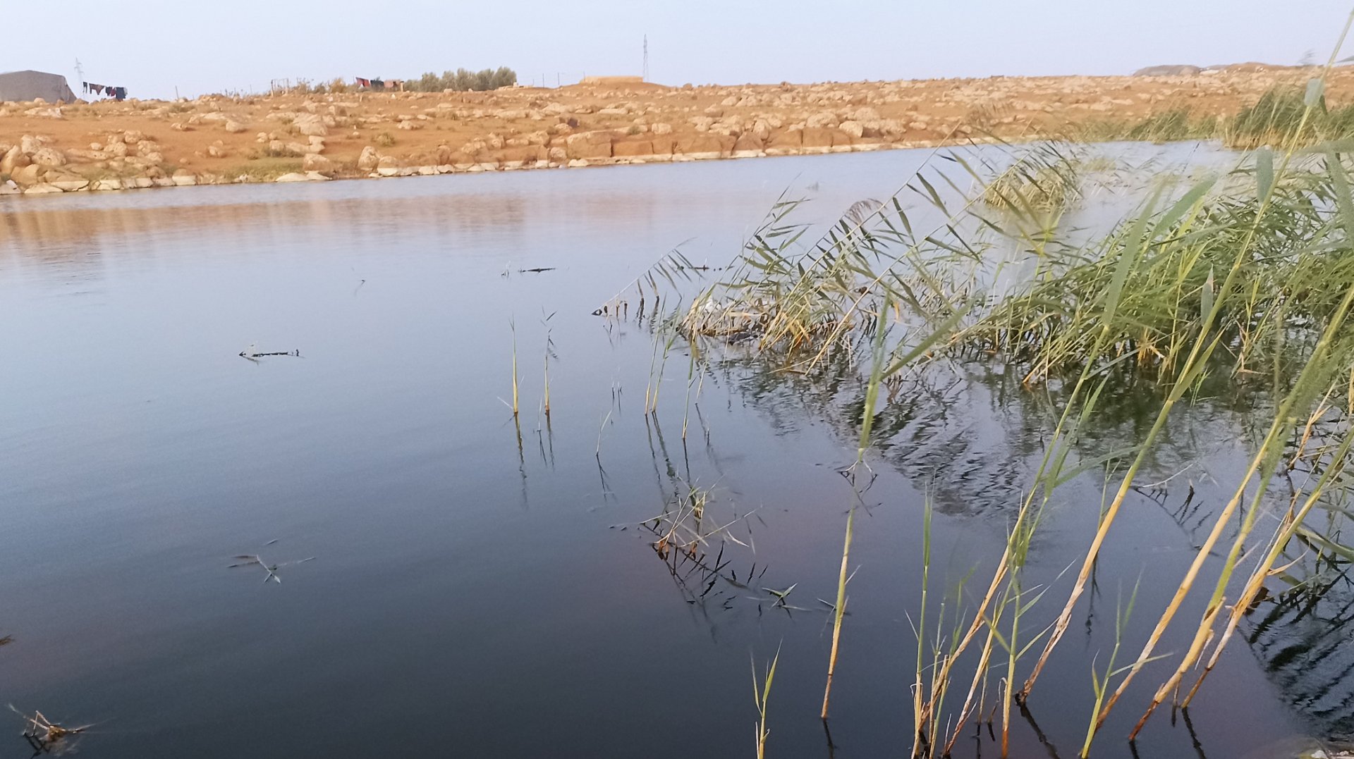 درعا... ارتفاع عدد الاصابات بالتهاب الكبد الوبائي A إلى 110